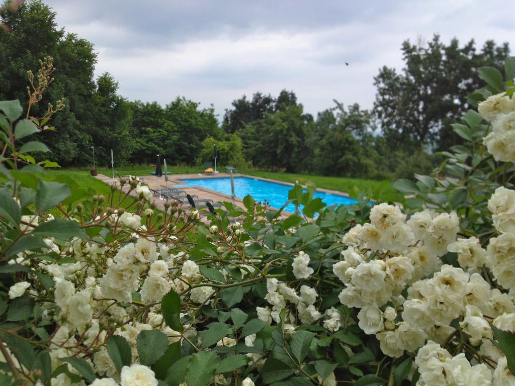 Agriturismo Famiglia Al Castello Di Bagnolo Bagnolo Piemonte Δωμάτιο φωτογραφία